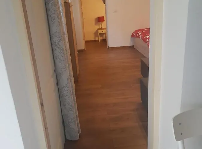 Sunrise Castelului Apartment