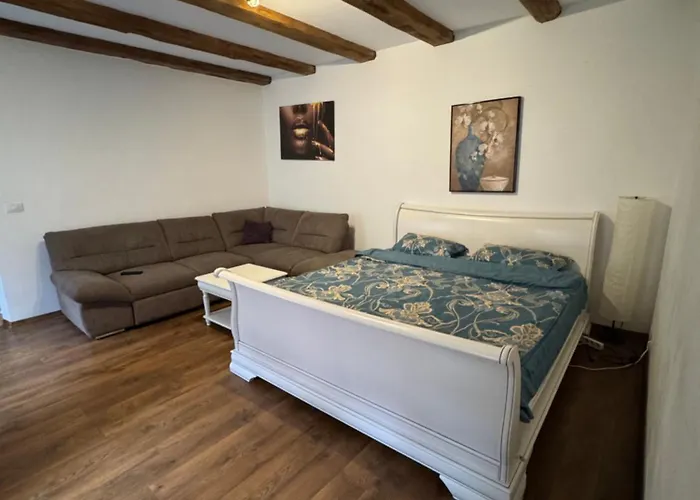 Sunrise Castelului * 布拉索夫